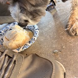 Two Sisters Ice Cream - Little Misses' Pup Cup