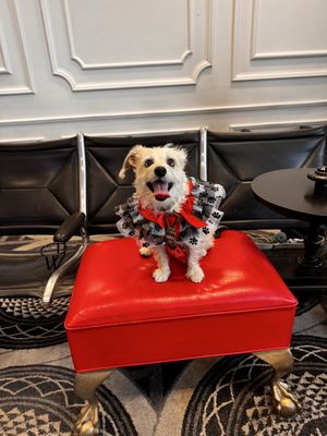 Austin-Bergstrom International Airport by null