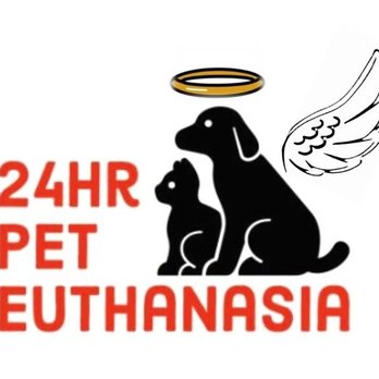 Mesa Mobile Veterinary Clinic - Veterinarians Near Me Mesa Mobile Veterinary Clinic - Veterinarians Near Me