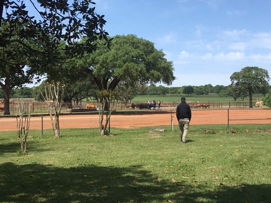 HeartBrand Beef by null