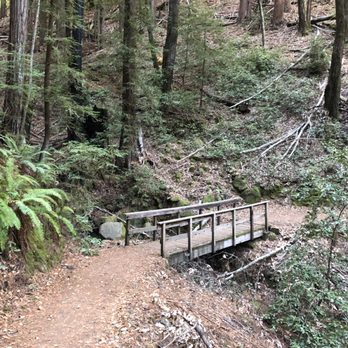 Huddart County Park - Parks Near Me - Woodside, California Huddart County Park - Parks Near Me - Woodside, California
