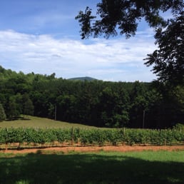 Zimmerman Vineyard with Mt Shepherd in the background
