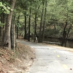 Deer on the trail!