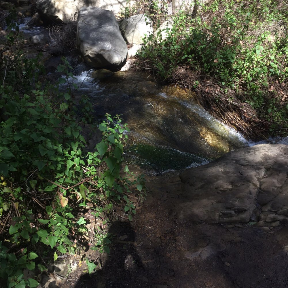 Cold Spring Trail - Hiking Near Me - Santa Barbara, California Cold Spring Trail - Hiking Near Me - Santa Barbara, California