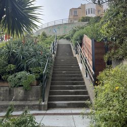22nd Street Jungle Stairs