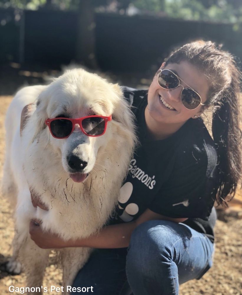 GAGNON’S PET RESORT 12 Photos & 28 Reviews 227 Upton Rd, Colchester