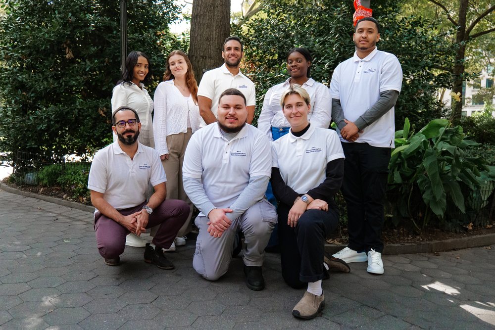 Mae Consultants - mold inspector in New York, NY