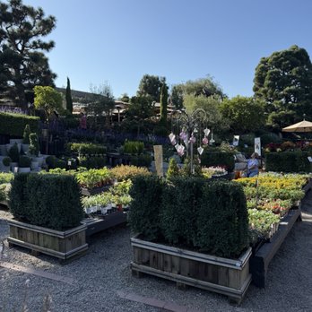 Roger's Gardens - Nurseries & Gardening Near Me - Corona Del Mar, California