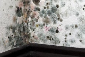 Slide of Pro Restoration Solutions