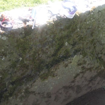 Grange Stone Circle - Offerings to the fair folk... - Landmarks & Historical Buildings Near Me - Bruff, LK