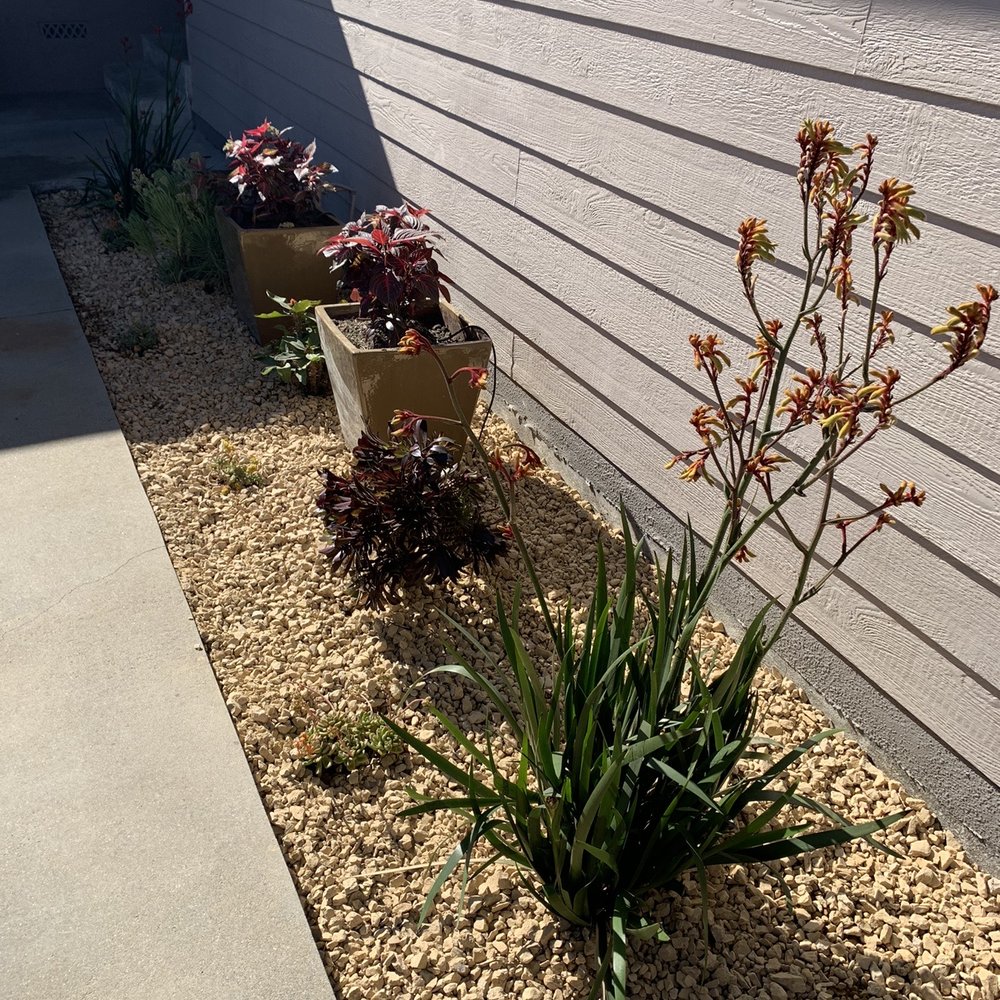 Pinewood Design - Landscaping Near Me - Long Beach, California Pinewood Design - Landscaping Near Me - Long Beach, California