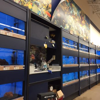 Petco - Pet Stores Near Me - Opelika, Alabama Petco - Pet Stores Near Me - Opelika, Alabama