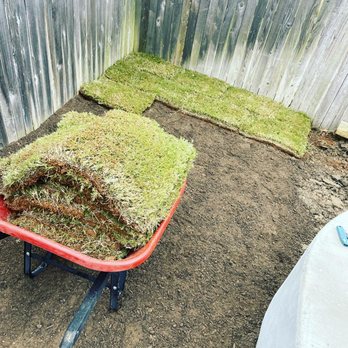 Vision Landscaping - Install of sod - Tree Services Near Me