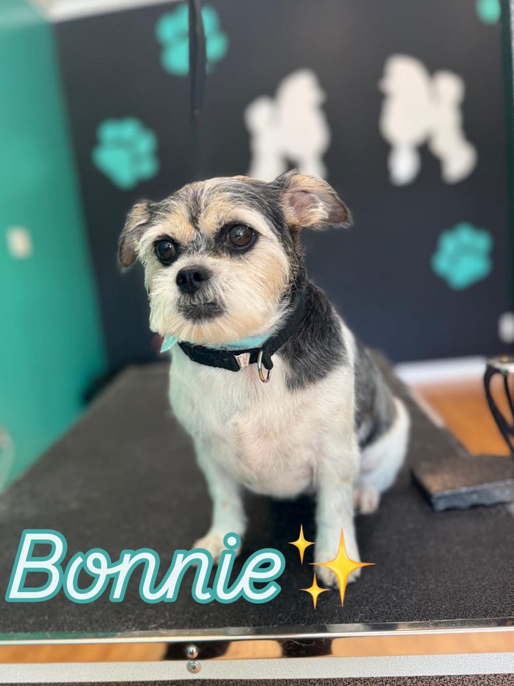 o Jupiter Florida Real Estate For Sale