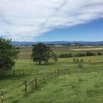 Belle Pente - Beautiful view - Wineries Near Me - Carlton, Oregon Belle Pente - Beautiful view - Wineries Near Me - Carlton, Oregon