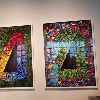 The Alexander by null