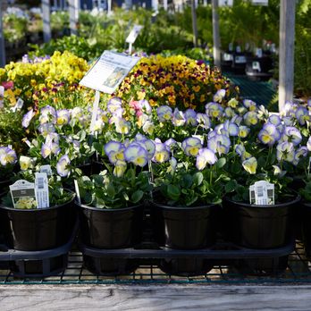 O'Donal's Nursery - Nurseries & Gardening Near Me - Gorham, Maine