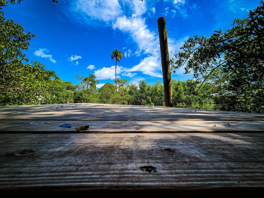 Hammock State Park Image