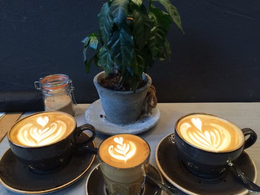 Aniis - Frankfurt am Main by null