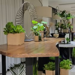 Savoy Hotel Manila - Nice plants