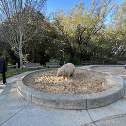 Arroyo Avichi Park - Bear sighting