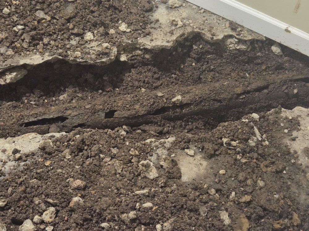 Slide of Sewer-Oscopy