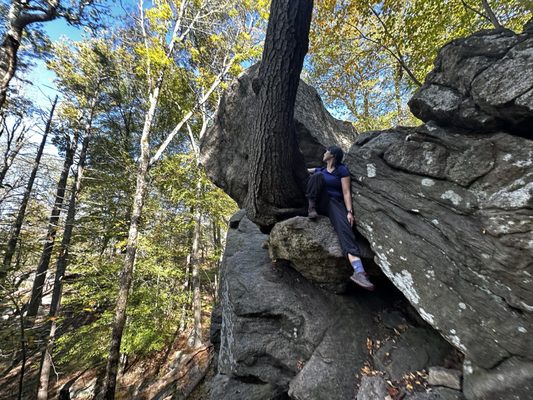 Harriman State Park by null