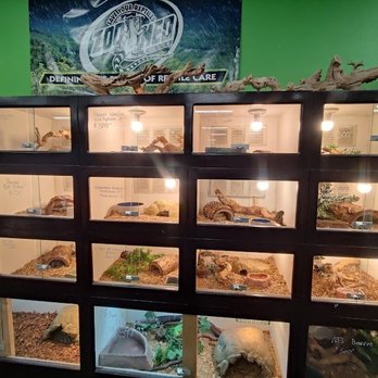 Pet Kingdom - Local Fish Stores Near Me - San Diego, California Pet Kingdom - Local Fish Stores Near Me - San Diego, California