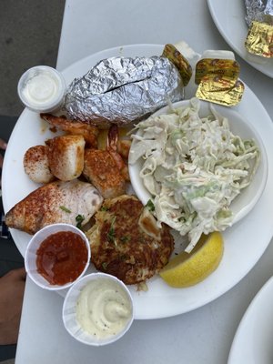 Ship Bottom Shellfish by null