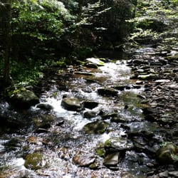 Windham High Peak - Burnt Knob Loop