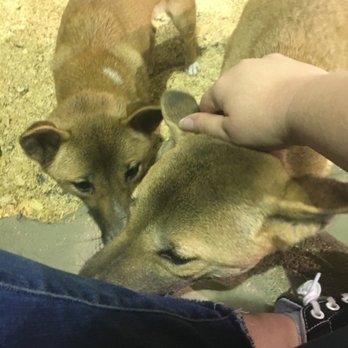 Branson Wild World - Aquariums Near Me - Branson, Missouri Branson Wild World - Aquariums Near Me - Branson, Missouri