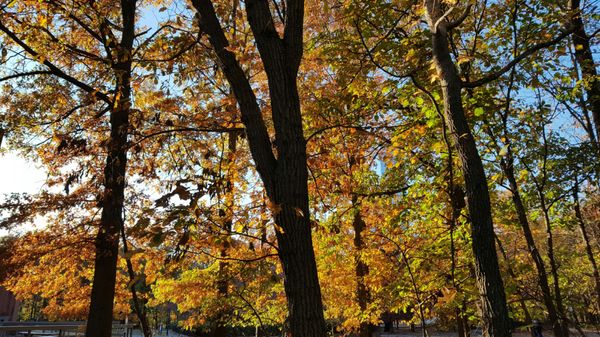 Fort Lee Historic Park, Palisades Interstate Park Commission by null