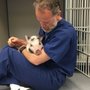 Photo of Newtown Veterinary Hospital