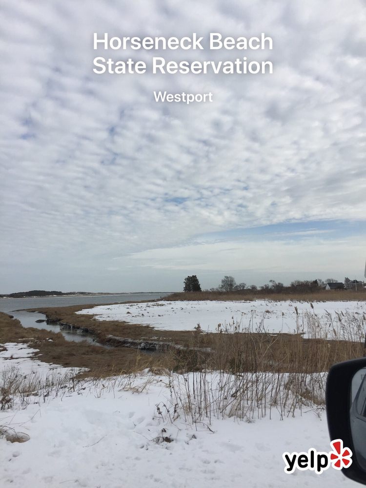Horseneck Beach State Reservation 87 Photos & 85 Reviews Beaches
