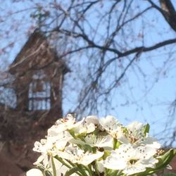 Grace Episcopal Church