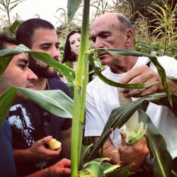 Nichols Farm & Orchard - Lloyd Nichols shows sweet corn to frontera chefs