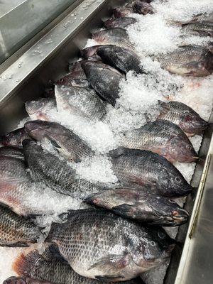 Dat Moi Market by null