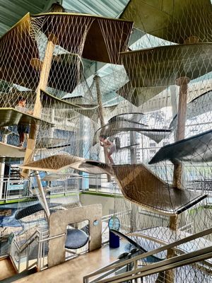 Glazer Children's Museum by null