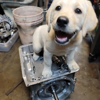 Transnet Transmission - Transmission Repair Near Me - Hoodsport, Washington Transnet Transmission - Transmission Repair Near Me - Hoodsport, Washington