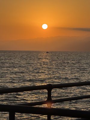 Santa Monica Pier by null