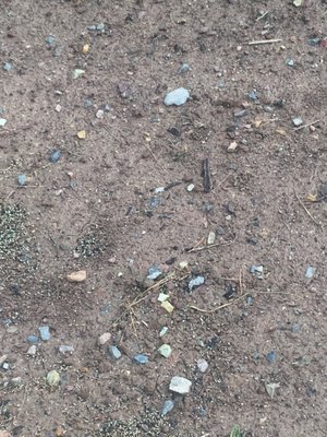 Klaumenzer Landscaping