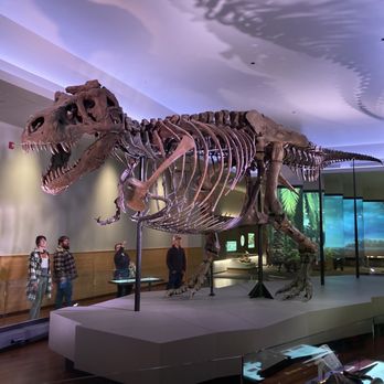 Field Museum - Sue - Museums Near Me - Chicago, Illinois
