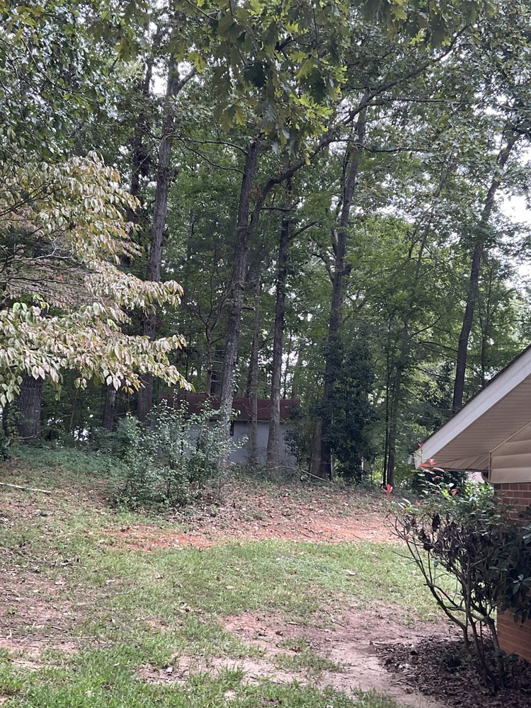 New Life Tree Co - tree service in West Columbia, SC