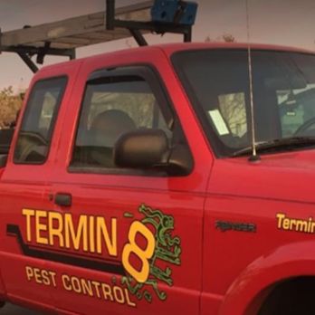 Termin 8 Pest Control - Pest Control Near Me - Murrieta, California Termin 8 Pest Control - Pest Control Near Me - Murrieta, California