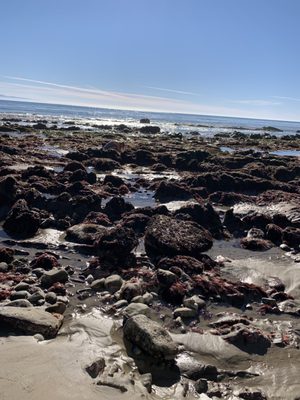 1000 Steps Beach by null