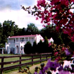 The Hacienda House Adult Family Care Home - THE HACIENDA HOUSE IN BROOKSVILLE FLORIDA