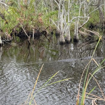 Coopertown Airboats - Boat Tours Near Me - Miami, Florida Coopertown Airboats - Boat Tours Near Me - Miami, Florida