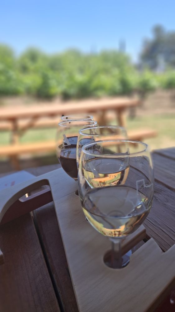 Mesilla Valley Wine & Brew Tours