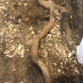 Nunnez Contractors - Demolition of half of the basement concrete in order to remove the tree roots - Drywall Installation & Repair Near Me - Woodbridge, Virginia