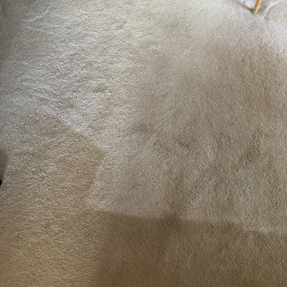 Zerorez- Sacramento - Technician left us with two tone carpet by only cleaning a small area of this room. - Carpet Cleaning Near Me - Sacramento, California Zerorez- Sacramento - Technician left us with two tone carpet by only cleaning a small area of this room. - Carpet Cleaning Near Me - Sacramento, California